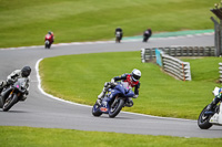 brands-hatch-photographs;brands-no-limits-trackday;cadwell-trackday-photographs;enduro-digital-images;event-digital-images;eventdigitalimages;no-limits-trackdays;peter-wileman-photography;racing-digital-images;trackday-digital-images;trackday-photos